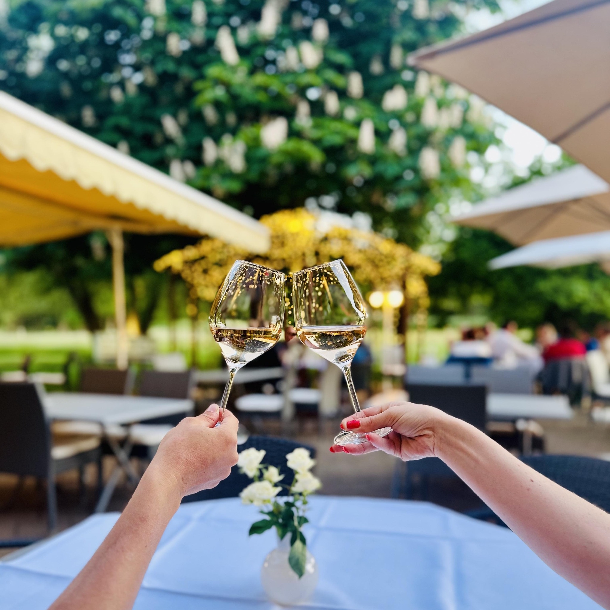 Hôtel-restaurant La Braserade